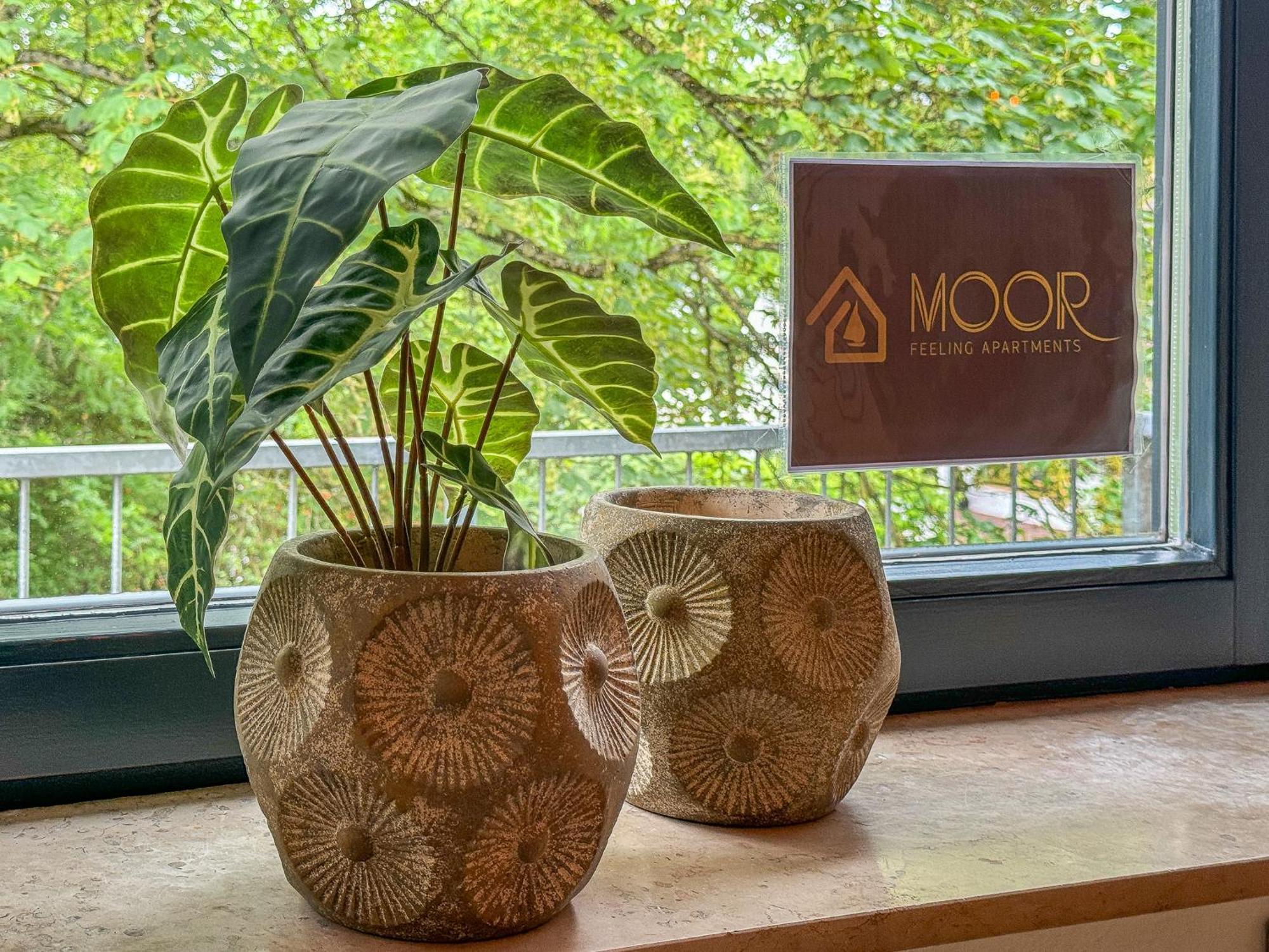 Moor Feeling Apartments ヴォルプスヴェーデ エクステリア 写真